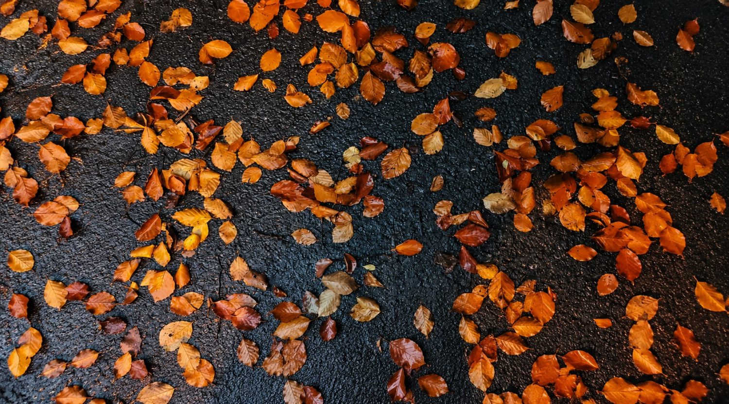 herfst