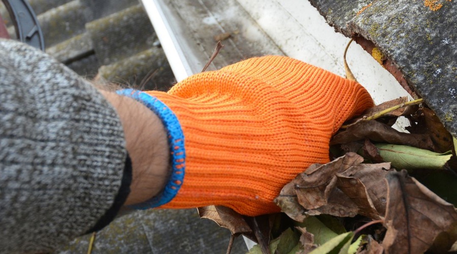 herfst_900x500